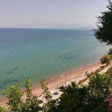 Koralli Sea View Hotel Kato Achaia Zewnętrze zdjęcie