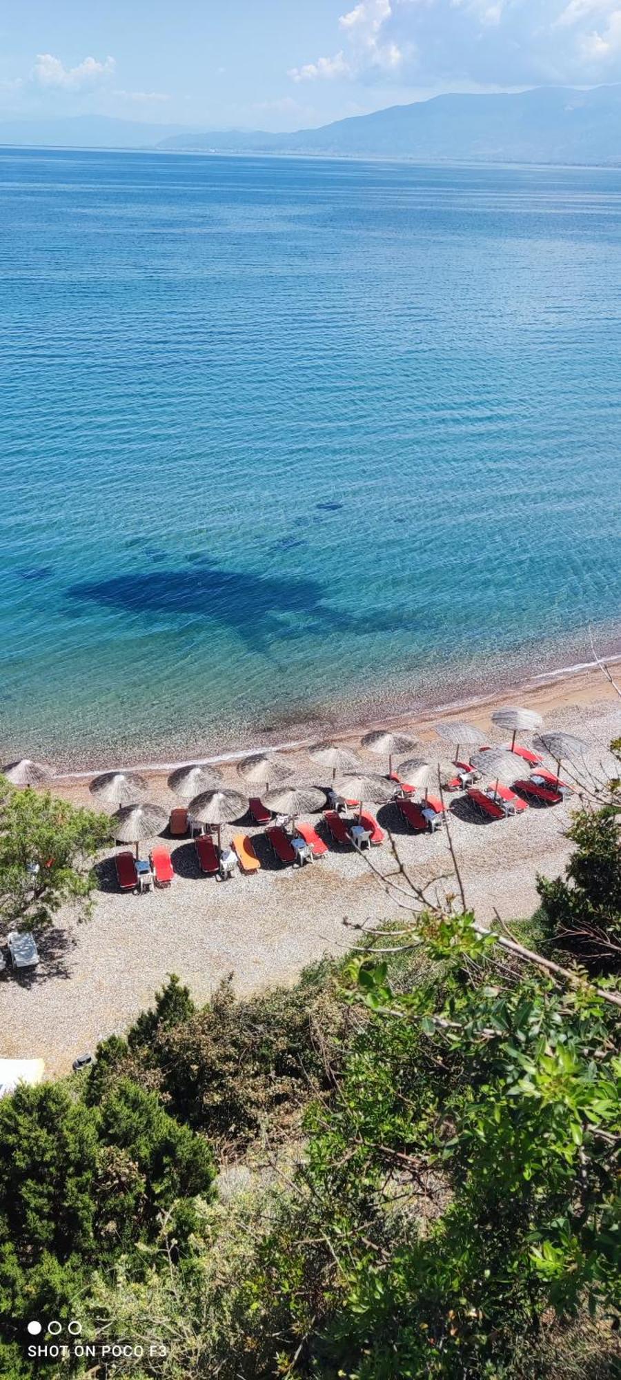 Koralli Sea View Hotel Kato Achaia Zewnętrze zdjęcie